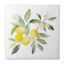 Pesquisar por limão azulejos Para todos