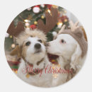 Pesquisar por holliday adesivos Para todos