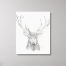 Pesquisar por chalés impressão de canvas Animal