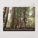 Pesquisar por california cartoes postais Natureza