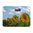 Pesquisar por sunflower imas Amarelo
