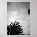 Pesquisar por preto e branco da gaivota artes pósteres Céu