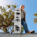 Pesquisar por aranhas skates Assustador