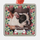 Pesquisar por osso de cão ornamentos Coroa