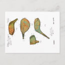 Pesquisar por patentes cartoes postais Vintage