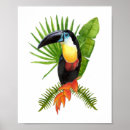 Pesquisar por tucano Folhas tropicais