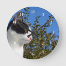 Pesquisar por do perfil do gato preto Felino