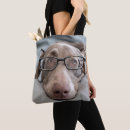 Pesquisar por weimaraner acessorios Filhote de cachorro