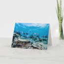 Pesquisar por água salgada cartoes Peixe