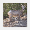 Pesquisar por monumentos imas Fotografia