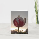 Pesquisar por hippie cartoes Engraçado