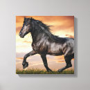 Pesquisar por cavalo preto impressão de canvas Cavalos