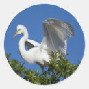 Pesquisar por meio ambiente adesivos Habitat
