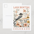 Pesquisar por lark cartoes postais Natureza