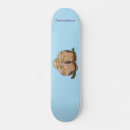 Pesquisar por corujas skates Animal
