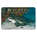 Pesquisar por baía de biscayne Parque nacional da biscaia