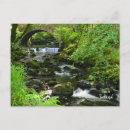 Pesquisar por verde floresta cartoes postais Viagem