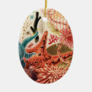 Pesquisar por mar coral ornamentos Praia