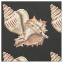 Pesquisar por escudo do conch Seashell