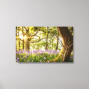 Pesquisar por bluebell impressão de canvas Primavera