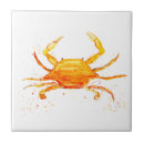 Pesquisar por caranguejo azulejos Casa de praia