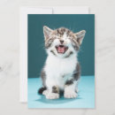 Pesquisar por raiva cartoes Felino