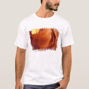 Pesquisar por arenito camisetas Colorido