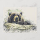 Pesquisar por urso marrom cartoes postais Vida selvagem
