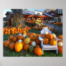 Pesquisar por cadeira adirondack pôsteres pósteres Outono