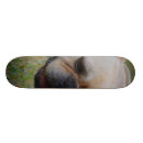 Pesquisar por buldogue skates Frenchie