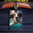 Pesquisar por imagem do cão bagagem tags Produtos personalizáveis para cães