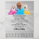 Pesquisar por cães flyers Promocional