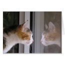 Pesquisar por remendos cartoes postais Gato