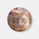 Pesquisar por series imas Laranja