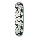 Pesquisar por samambaia skates Folha