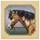 Pesquisar por nativo americano artesanato material Pintura