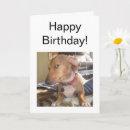 Pesquisar por suspiro cartoes Feliz aniversário