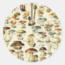 Pesquisar por cogumelo vintage adesivos Natureza