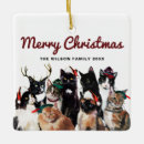Pesquisar por gato feliz ornamentos Para ela