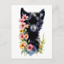 Pesquisar por filhote de lobo cartoes postais Vida selvagem