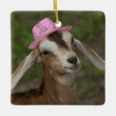 Pesquisar por quintal ornamentos Gado