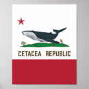 Pesquisar por cetáceos pósteres Cetácea