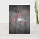 Pesquisar por aranha jardim cartoes postais Flor