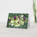Pesquisar por dia mães orquídea cartoes Orquídeas