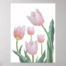 Pesquisar por tulipas pastel pôsteres pósteres Para todos