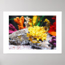 Pesquisar por cavalo marinho pôsteres pósteres Qualquer pessoa