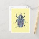 Pesquisar por beetle cartoes postais Besouro azul
