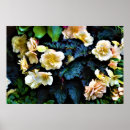 Pesquisar por orvalho artes pósteres Flor