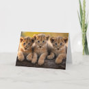 Pesquisar por lion cub cartoes postais Natureza