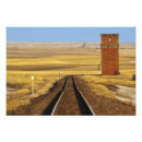 Pesquisar por collins fotografia Agricultura